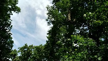 Multiple cumshots in the hot sun first cum was handsfree at 8:40. Enjoy